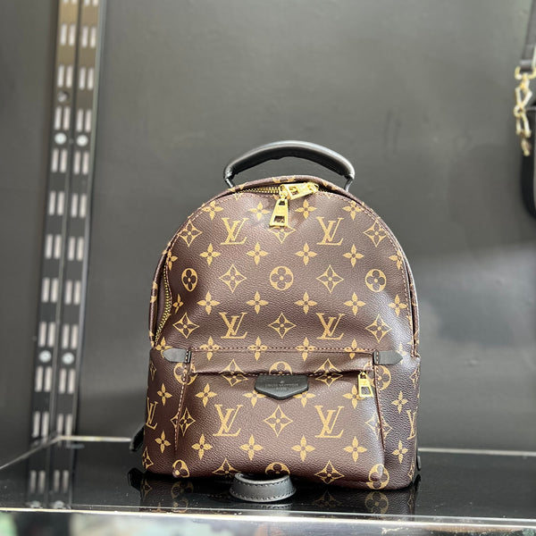 Louis Vuitton Monogram Palm Springs